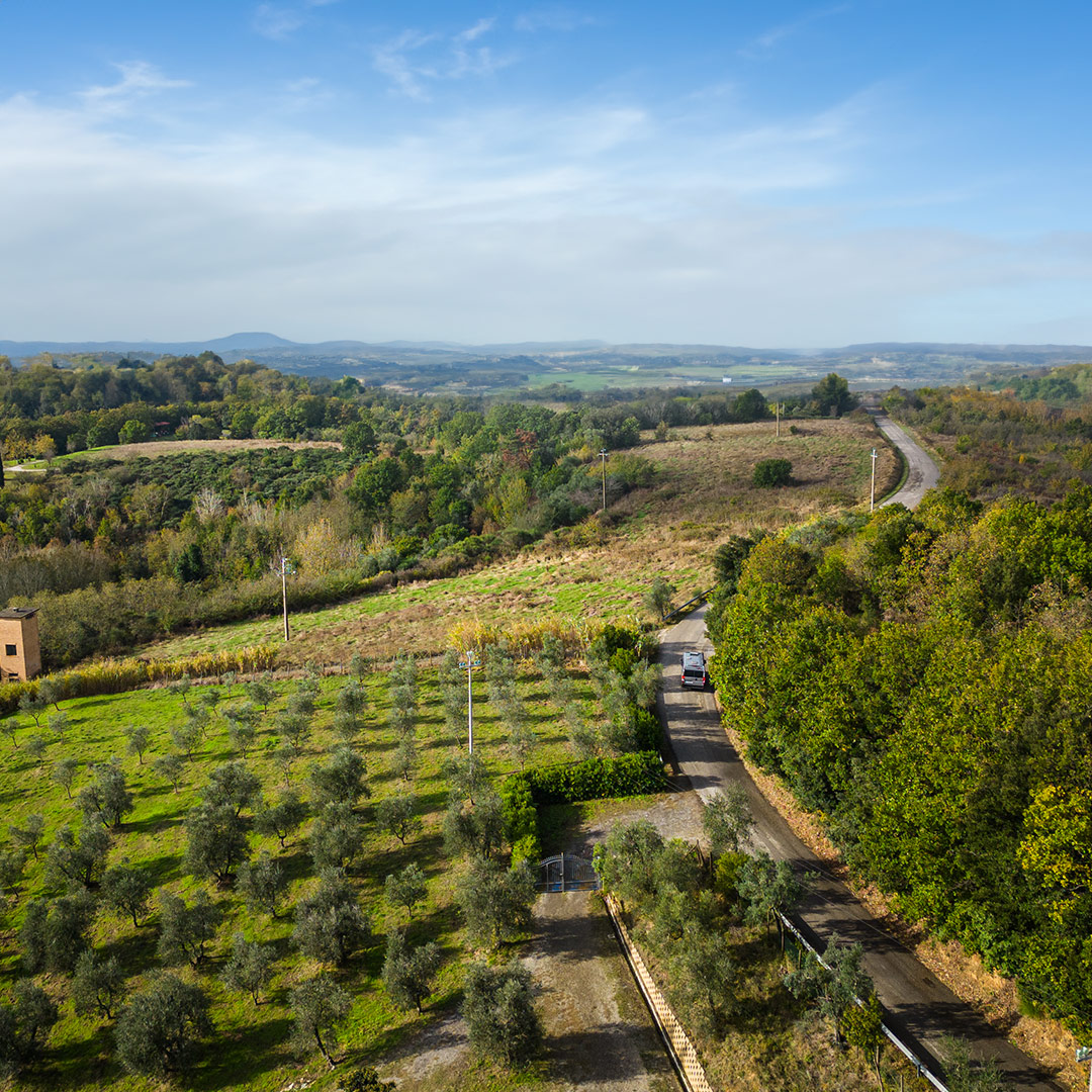 Consigli per un Turismo Responsabile a Contatto con la Natura